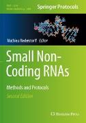 Small Non-Coding RNAs