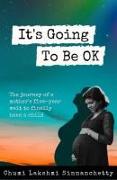 It's Going to Be Ok: The Journey of a Mother's Five-Year Wait to Finally Have a Child