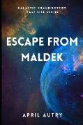 Escape from Maldek: Galactic Grandmother Past Life Series
