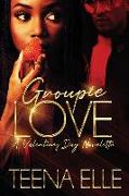 Groupie Love: A Valentines Day Novelette