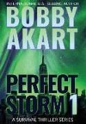 Perfect Storm 1: Post Apocalyptic Survival Thriller