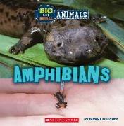 Amphibians (Wild World: Big and Small Animals)