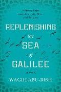 Replenishing the Sea of Galilee: A Family Saga Across Ethnicity, Place, and Religion: A Novel