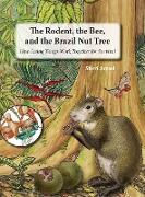 The Rodent, the Bee, and the Brazil Nut Tree