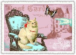 Postkarte. Katze auf Sessel / blanko