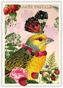 Postkarte. Vogel mit Schmetterlingshut / blanko