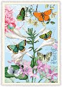 Postkarte. Schmetterlinge / blanko