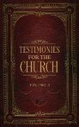 Testimonies for the Church Volume 3
