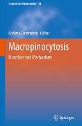 Macropinocytosis