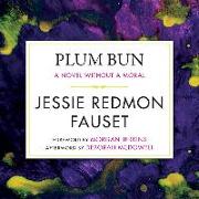 Plum Bun: A Novel Without a Moral