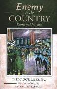 Enemy in the Country: Satires and Novellas