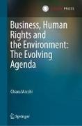 Business, Human Rights and the Environment: The Evolving Agenda