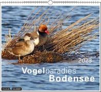 Vogelparadies Bodensee 2023