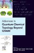 Advances in Quantum Chemical Topology Beyond QTAIM