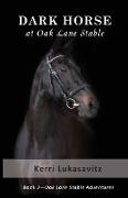 Dark Horse at Oak Lane Stable (Book 3 of 3)