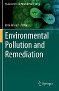 Environmental Pollution and Remediation