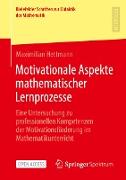 Motivationale Aspekte mathematischer Lernprozesse