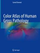 Color Atlas of Human Gross Pathology