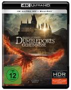 PHANTASTISCHE TIERWESEN: DUMBLEDORES GEHEIMNISSE -