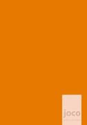 joco - orange - Dein Weg zum Erfolg - ein Tagebuch, Journal für Achtsamkeit, Dankbarkeit und Persönlichkeitsentwicklung