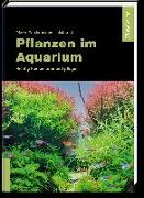 Pflanzen im Aquarium