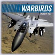 Warbirds - Kampfflugzeuge 2023 - 16-Monatskalender