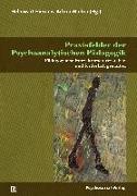 Praxisfelder der Psychoanalytischen Pädagogik