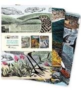 Angela Harding: Wildlife Set of 3 Midi Notebooks