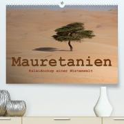 Mauretanien - Kaleidoskop einer Wüstenwelt (Premium, hochwertiger DIN A2 Wandkalender 2023, Kunstdruck in Hochglanz)