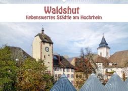 Waldshut - liebenswertes Städtle am Hochrhein (Wandkalender 2023 DIN A2 quer)