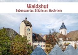 Waldshut - liebenswertes Städtle am Hochrhein (Wandkalender 2023 DIN A3 quer)