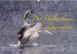 Der Höckerschwan elegant und stolz (Wandkalender 2023 DIN A2 quer)