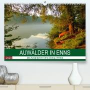 Auwälder bei EnnsAT-Version (Premium, hochwertiger DIN A2 Wandkalender 2023, Kunstdruck in Hochglanz)