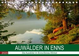 Auwälder bei EnnsAT-Version (Tischkalender 2023 DIN A5 quer)