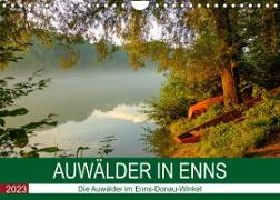 Auwälder bei EnnsAT-Version (Wandkalender 2023 DIN A4 quer)