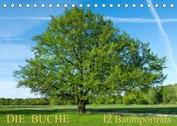 Die Buche: 12 Baumporträts (Tischkalender 2023 DIN A5 quer)
