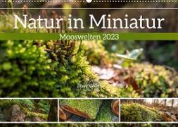 Natur in Miniatur - Mooswelten (Wandkalender 2023 DIN A2 quer)