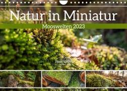 Natur in Miniatur - Mooswelten (Wandkalender 2023 DIN A4 quer)