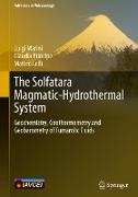 The Solfatara Magmatic-Hydrothermal System