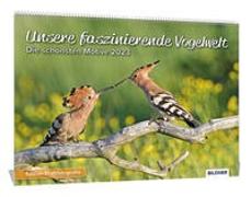 Vogelkalender 2023, Unsere faszinierende Vogelwelt! Die schönsten Aufnahmen heimischer Vögel 2023 - Hochwertiger Wandkalender DIN A3 quer