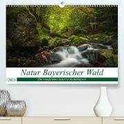 Natur Bayerischer Wald (Premium, hochwertiger DIN A2 Wandkalender 2023, Kunstdruck in Hochglanz)