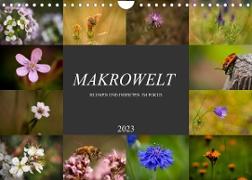 Makrowelt - Blumen und Insekten im Fokus (Wandkalender 2023 DIN A4 quer)
