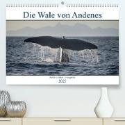 Die Wale von Andenes (Premium, hochwertiger DIN A2 Wandkalender 2023, Kunstdruck in Hochglanz)