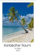 Karibischer Traum Isla Saona (Wandkalender 2023 DIN A3 hoch)