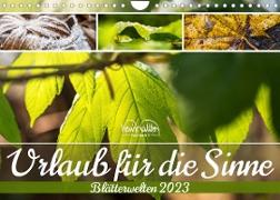 Urlaub für die Sinne - Blätterwelten (Wandkalender 2023 DIN A4 quer)