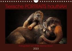 Tierische PORTRAITS hautNAH (Wandkalender 2023 DIN A4 quer)