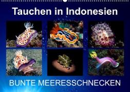 Tauchen in Indonesien - BUNTE MEERESSCHNECKEN (Wandkalender 2023 DIN A2 quer)