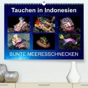 Tauchen in Indonesien - BUNTE MEERESSCHNECKEN (Premium, hochwertiger DIN A2 Wandkalender 2023, Kunstdruck in Hochglanz)