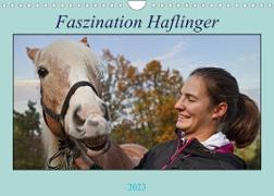 Faszination Haflinger (Wandkalender 2023 DIN A4 quer)