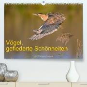 Vögel, Gefiederte Schönheiten (Premium, hochwertiger DIN A2 Wandkalender 2023, Kunstdruck in Hochglanz)